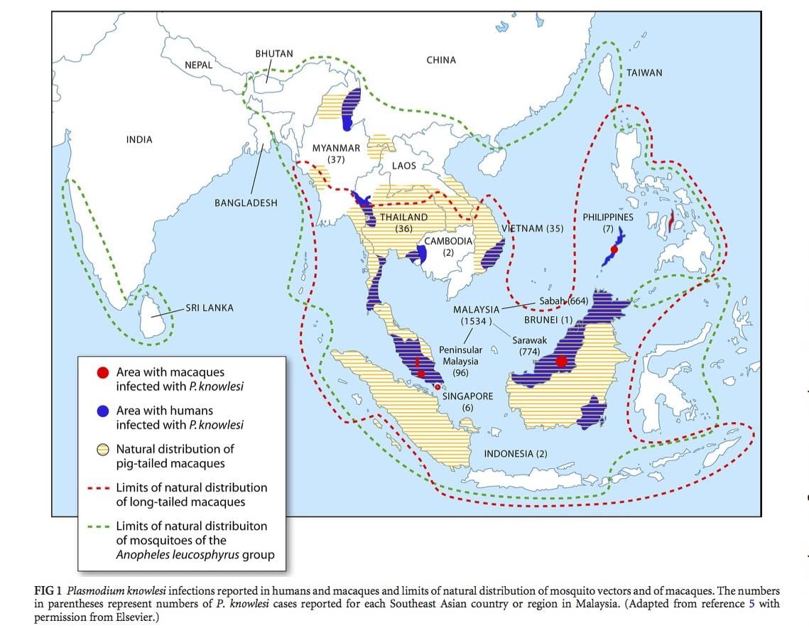 mapa de malaisia malaria