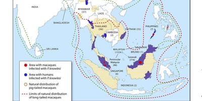 Mapa de malaisia malaria